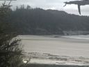./images/calvert/beach/20210520/beach20210520_152501.jpg
