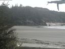 ./images/calvert/beach/20210520/beach20210520_155002.jpg