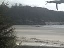 ./images/calvert/beach/20210520/beach20210520_155502.jpg