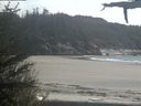 ./images/calvert/beach/20210520/beach20210520_160503.jpg