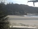 ./images/calvert/beach/20210520/beach20210520_161002.jpg