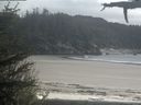 ./images/calvert/beach/20210520/beach20210520_165001.jpg