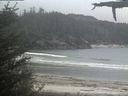 ./images/calvert/beach/20210520/beach20210520_201503.jpg