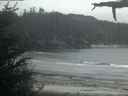./images/calvert/beach/20210520/beach20210520_214502.jpg
