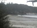 ./images/calvert/beach/20210521/beach20210521_123502.jpg