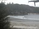 ./images/calvert/beach/20210521/beach20210521_193503.jpg