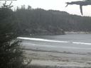 ./images/calvert/beach/20210521/beach20210521_202002.jpg
