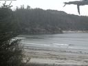 ./images/calvert/beach/20210521/beach20210521_202501.jpg