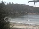 ./images/calvert/beach/20210521/beach20210521_210502.jpg