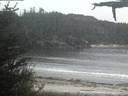 ./images/calvert/beach/20210521/beach20210521_214502.jpg