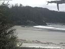 ./images/calvert/beach/20210522/beach20210522_135002.jpg