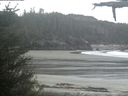 ./images/calvert/beach/20210523/beach20210523_061502.jpg