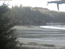 ./images/calvert/beach/20210523/beach20210523_070503.jpg