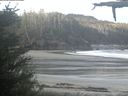 ./images/calvert/beach/20210523/beach20210523_071002.jpg