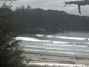 ./images/calvert/beach/20210523/beach20210523_121002.jpg