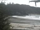 ./images/calvert/beach/20210523/beach20210523_140503.jpg