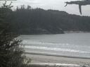 ./images/calvert/beach/20210524/beach20210524_131003.jpg