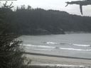 ./images/calvert/beach/20210524/beach20210524_131503.jpg