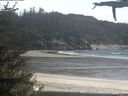 ./images/calvert/beach/20210524/beach20210524_155503.jpg