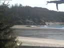 ./images/calvert/beach/20210524/beach20210524_160502.jpg