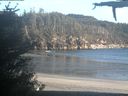 ./images/calvert/beach/20210524/beach20210524_202503.jpg