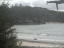 ./images/calvert/beach/20210525/beach20210525_132502.jpg