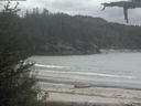 ./images/calvert/beach/20210525/beach20210525_143503.jpg