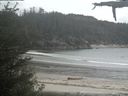 ./images/calvert/beach/20210525/beach20210525_152002.jpg