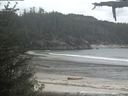 ./images/calvert/beach/20210525/beach20210525_154502.jpg
