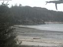 ./images/calvert/beach/20210525/beach20210525_155501.jpg