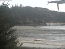 ./images/calvert/beach/20210525/beach20210525_173502.jpg