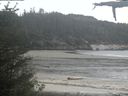 ./images/calvert/beach/20210525/beach20210525_175001.jpg
