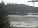 ./images/calvert/beach/20210525/beach20210525_175502.jpg