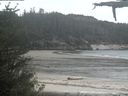 ./images/calvert/beach/20210525/beach20210525_202502.jpg