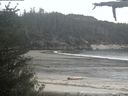 ./images/calvert/beach/20210525/beach20210525_204502.jpg