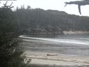 ./images/calvert/beach/20210525/beach20210525_212503.jpg