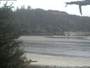 ./images/calvert/beach/20210526/beach20210526_061502.jpg
