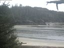 ./images/calvert/beach/20210526/beach20210526_064503.jpg