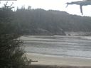 ./images/calvert/beach/20210526/beach20210526_091003.jpg