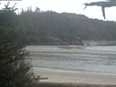 ./images/calvert/beach/20210526/beach20210526_094501.jpg