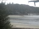 ./images/calvert/beach/20210526/beach20210526_095501.jpg