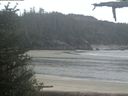 ./images/calvert/beach/20210526/beach20210526_101002.jpg