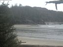 ./images/calvert/beach/20210526/beach20210526_101502.jpg