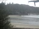 ./images/calvert/beach/20210526/beach20210526_102002.jpg