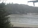 ./images/calvert/beach/20210527/beach20210527_091002.jpg