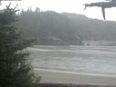 ./images/calvert/beach/20210527/beach20210527_092002.jpg