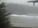 ./images/calvert/beach/20210527/beach20210527_122003.jpg
