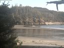 ./images/calvert/beach/20210528/beach20210528_194003.jpg