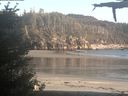 ./images/calvert/beach/20210528/beach20210528_200502.jpg