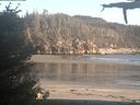 ./images/calvert/beach/20210528/beach20210528_201503.jpg